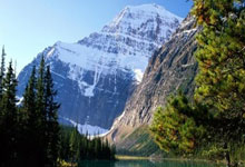 28圈官网- 波士顿凯尔特人队战绩 